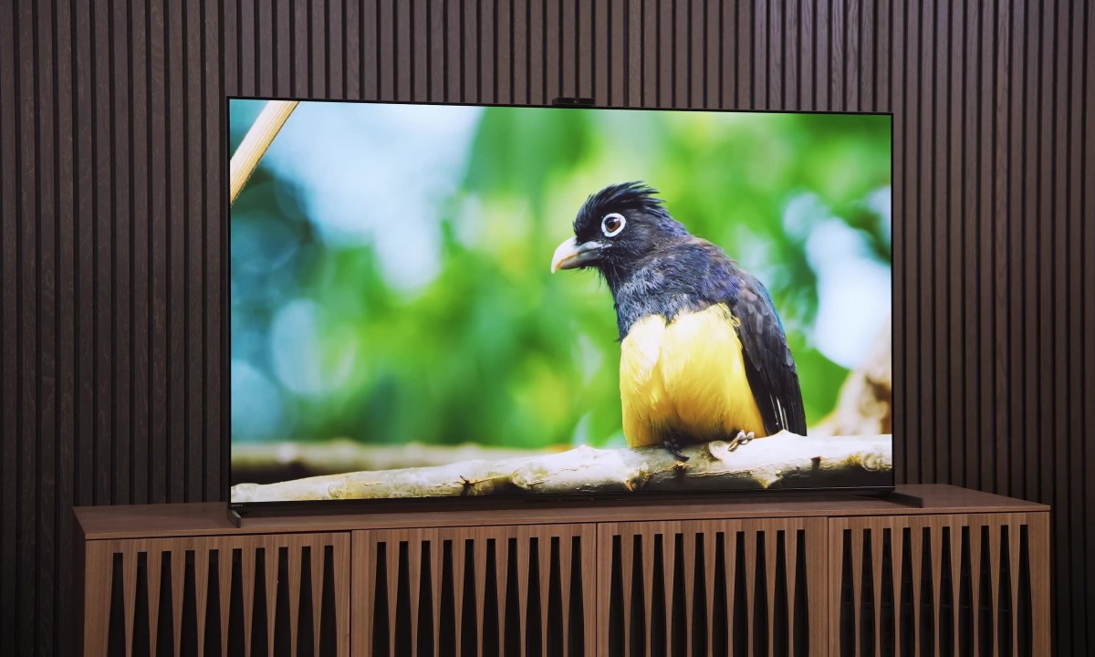 Best TV vs Biggest: Sony A95L & TCL QM8